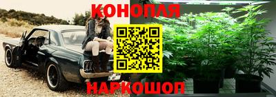 каннабис Краснознаменск